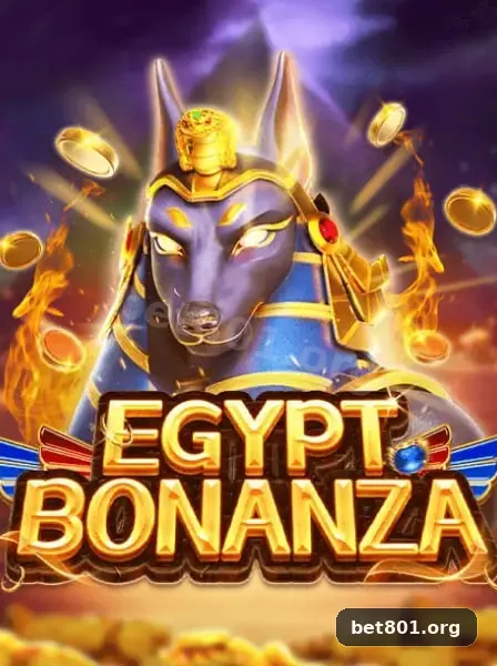 bet801 visual 2